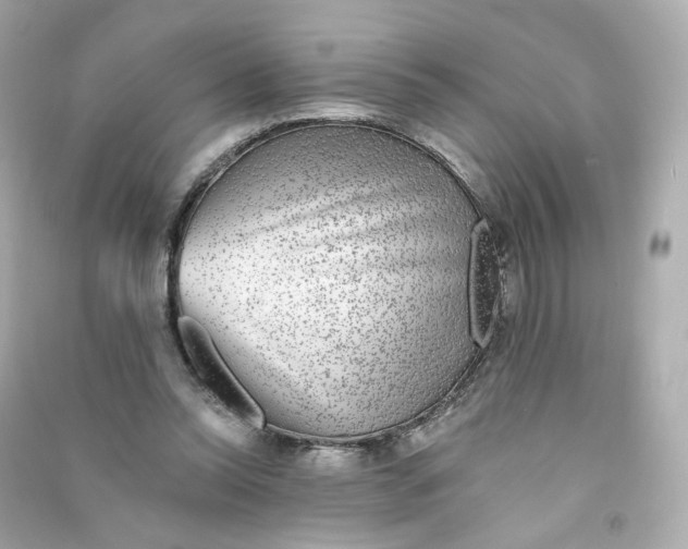 X0000090460350200708102116
