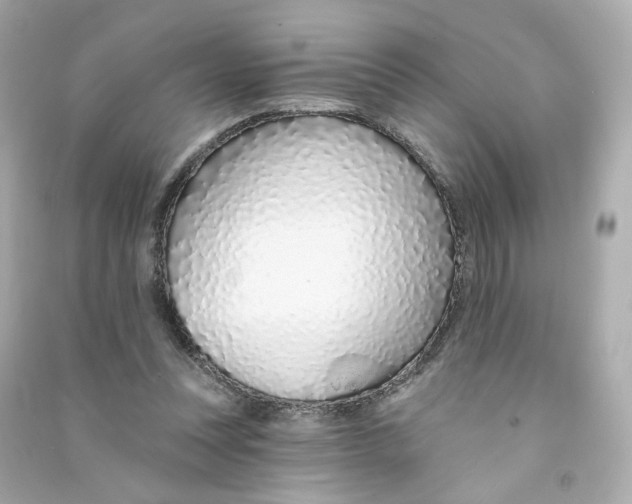 X0000090460351200708102116