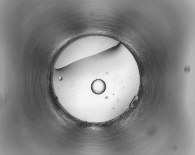 X0000090460352200708102116