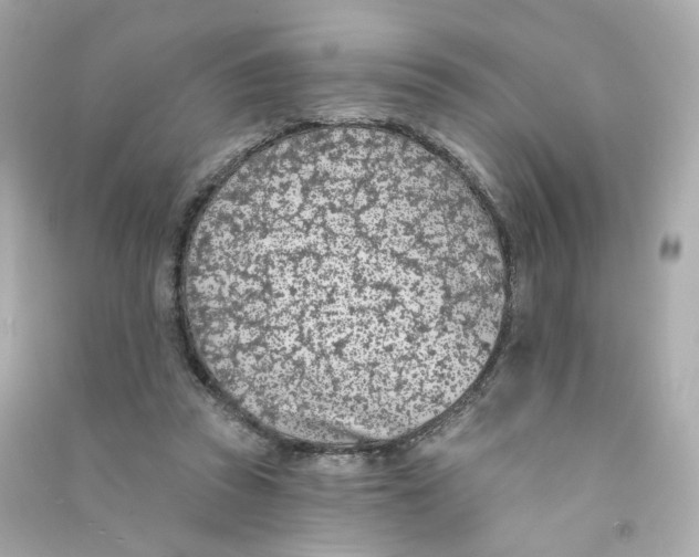 X0000090460353200708102116