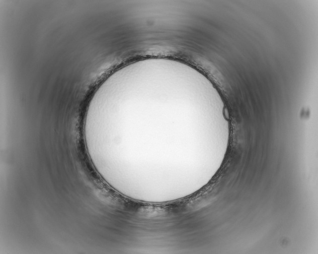 X0000090460354200708102116