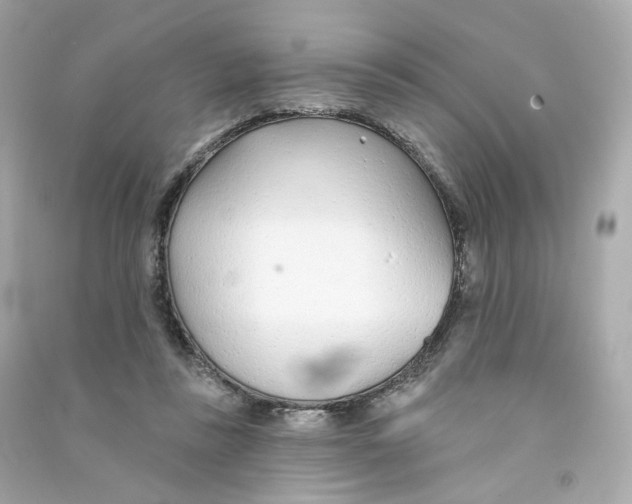 X0000090460355200708102116
