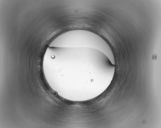 X0000090460356200708102116