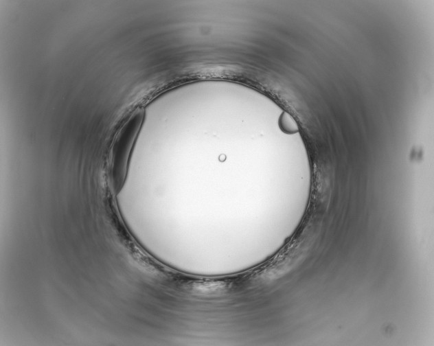 X0000090460357200708102116