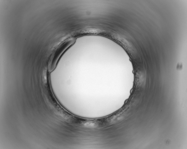 X0000090460358200708102116