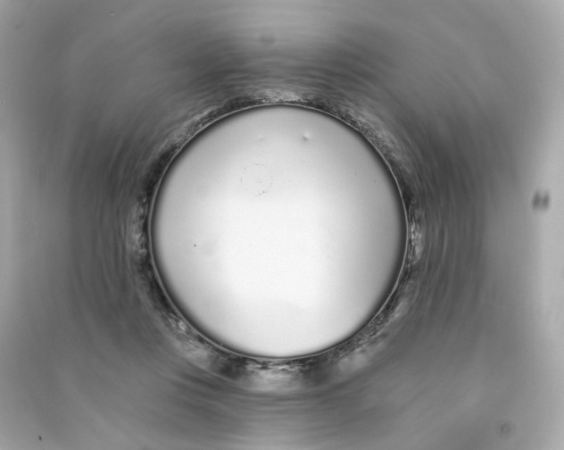 X0000090460359200708102116
