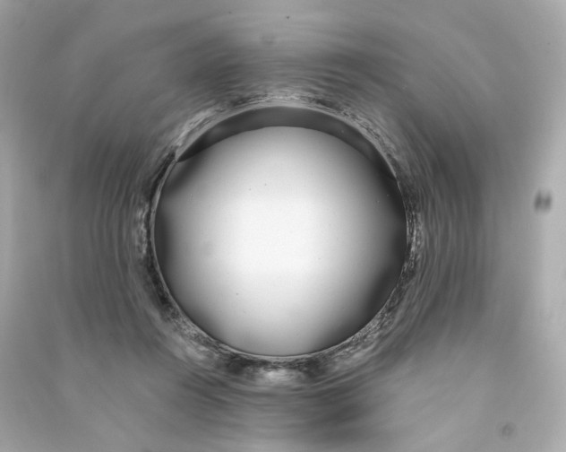 X0000090460360200708102116