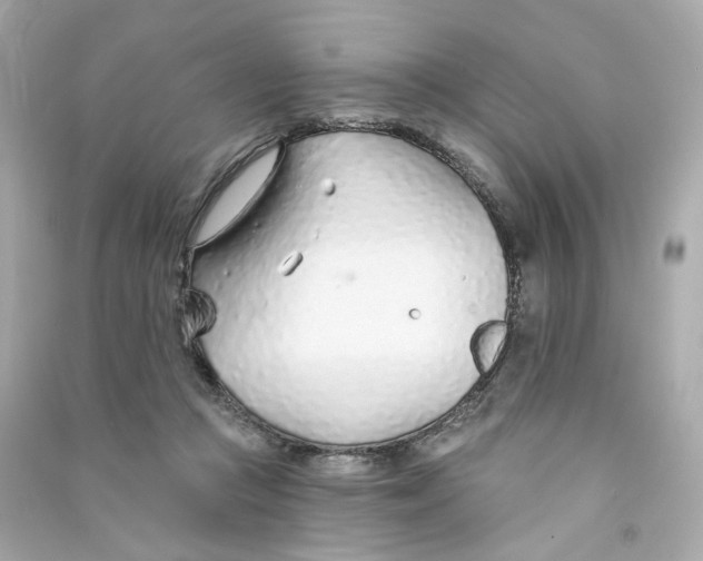X0000090460361200708102116