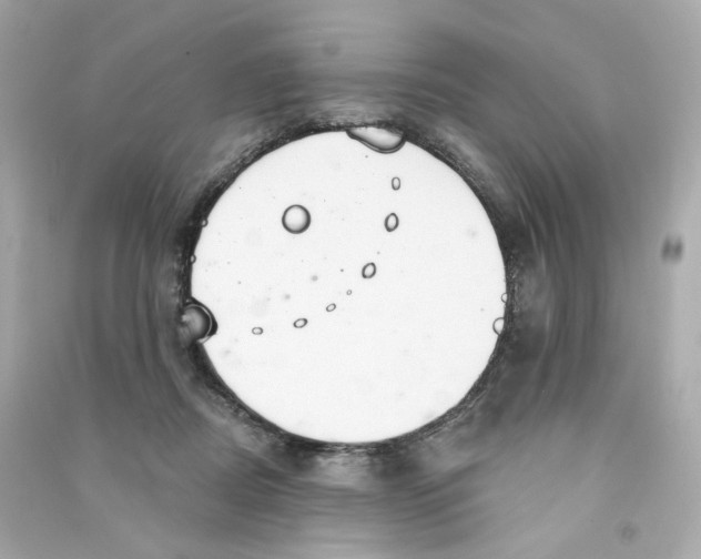 X0000090460362200708102116