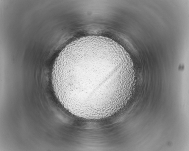 X0000090460363200708102116