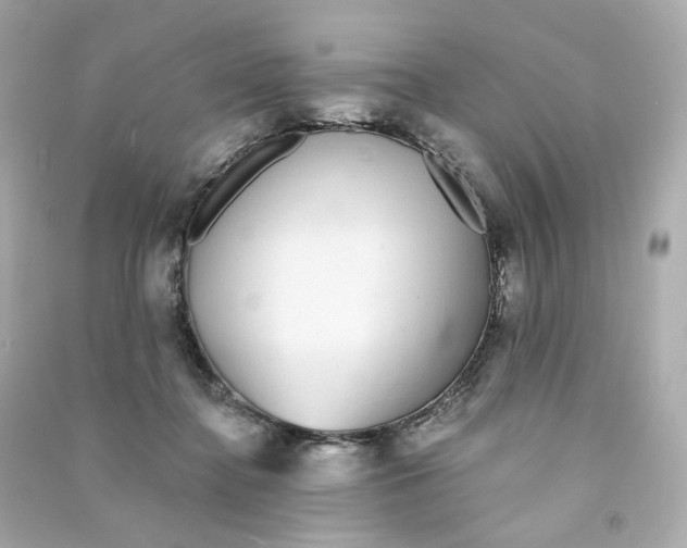 X0000090460364200708102116