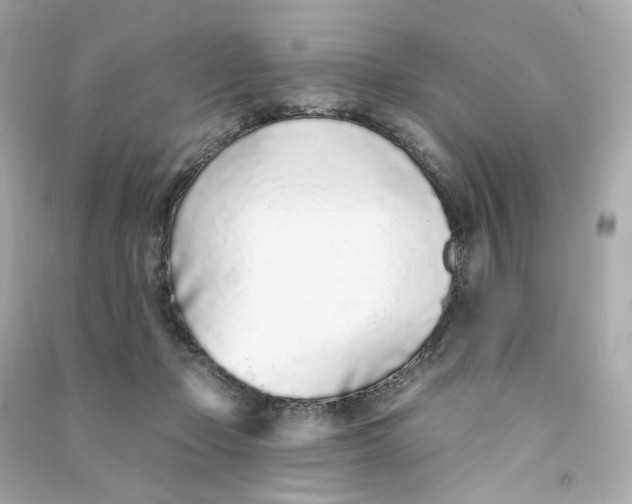 X0000090460365200708102116