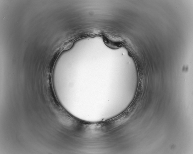 X0000090460366200708102116