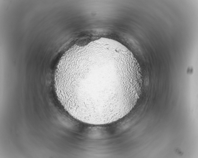 X0000090460367200708102116