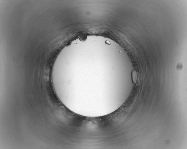X0000090460368200708102116