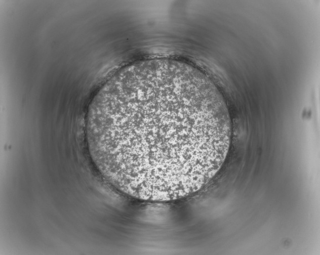 X0000090460369200708102116