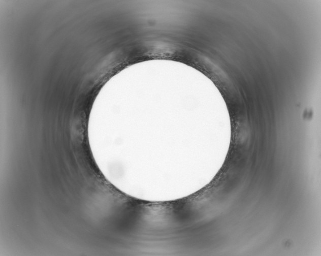 X0000090460370200708102116