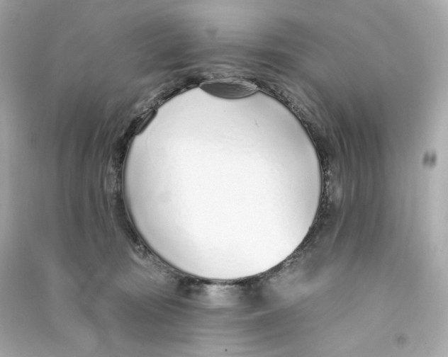 X0000090460371200708102116