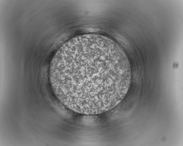 X0000090460373200708102116
