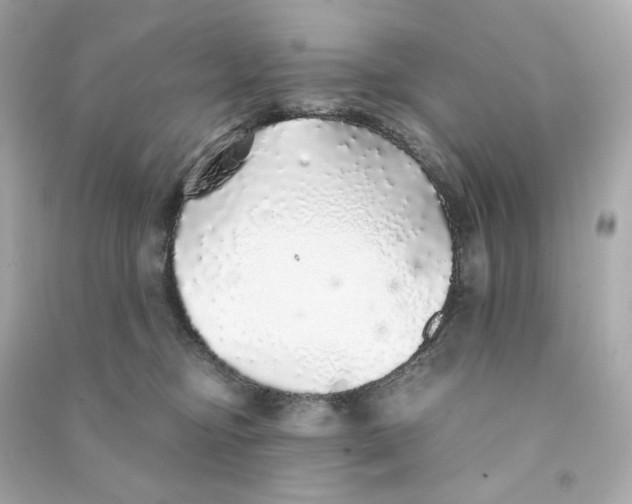 X0000090460374200708102116