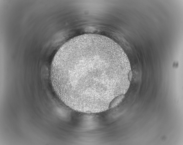 X0000090460375200708102116