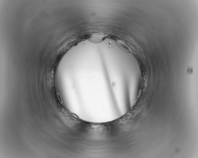 X0000090460376200708102116