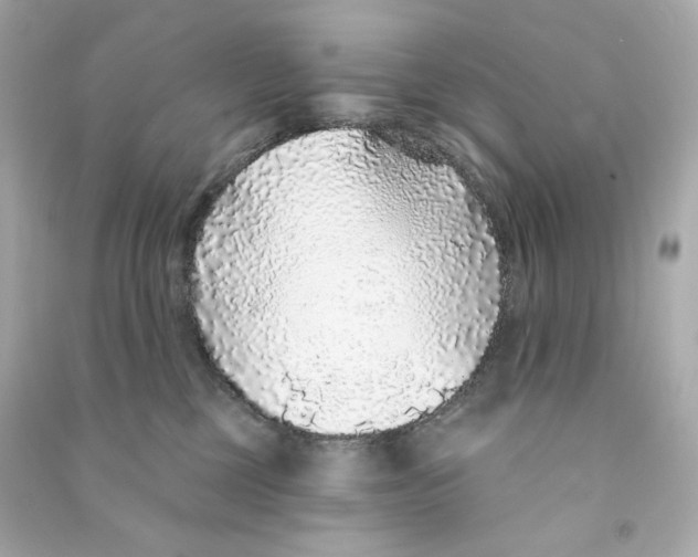 X0000090460377200708102116