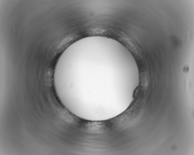 X0000090460378200708102116
