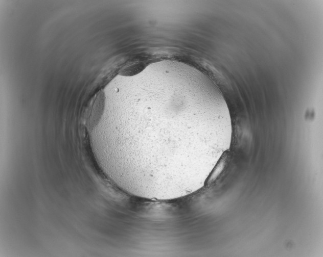 X0000090460379200708102116