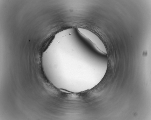 X0000090460380200708102116
