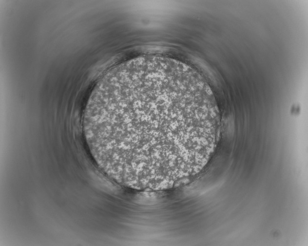 X0000090460381200708102116