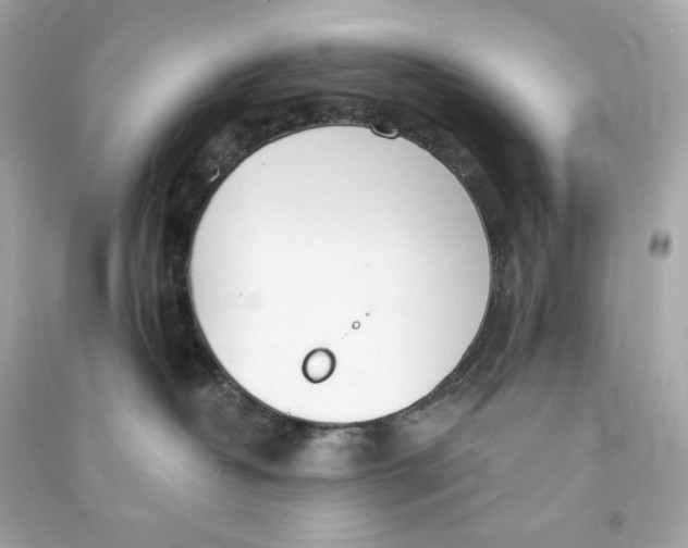 X0000090460382200708102116
