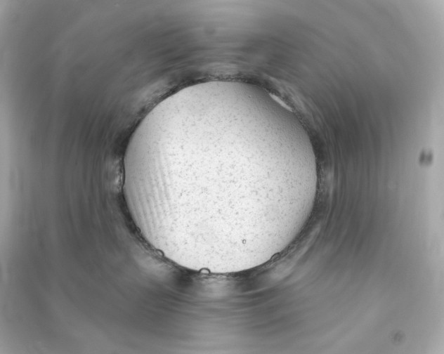 X0000090460383200708102116
