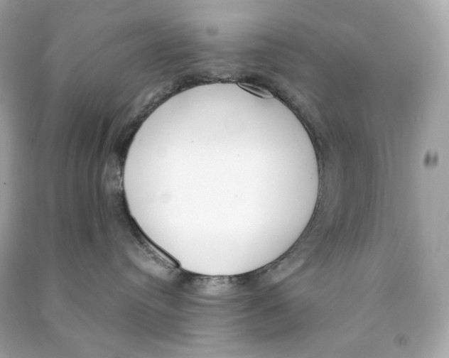 X0000090460384200708102116