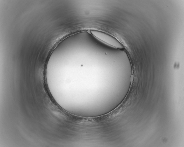 X0000090460386200708102116