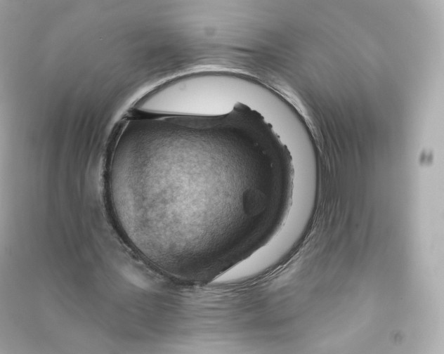 X0000090460387200708102116