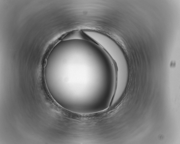 X0000090460388200708102116