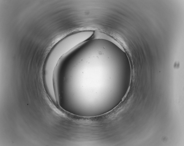 X0000090460389200708102116