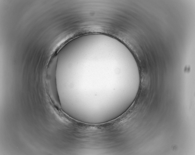 X0000090460390200708102116
