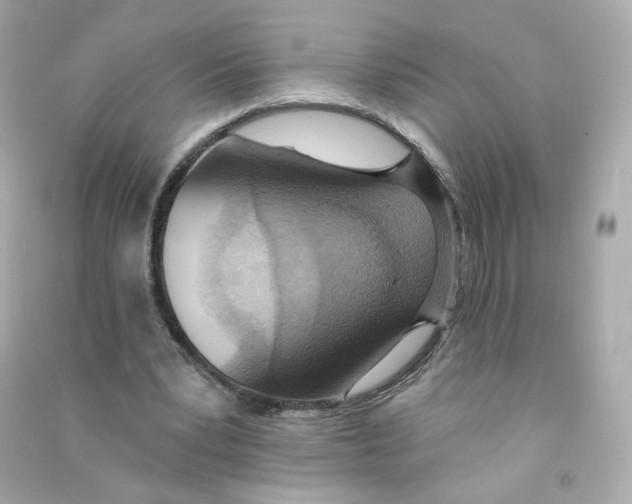 X0000090460391200708102116
