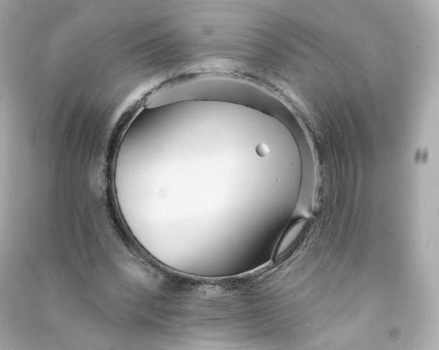 X0000090460392200708102116