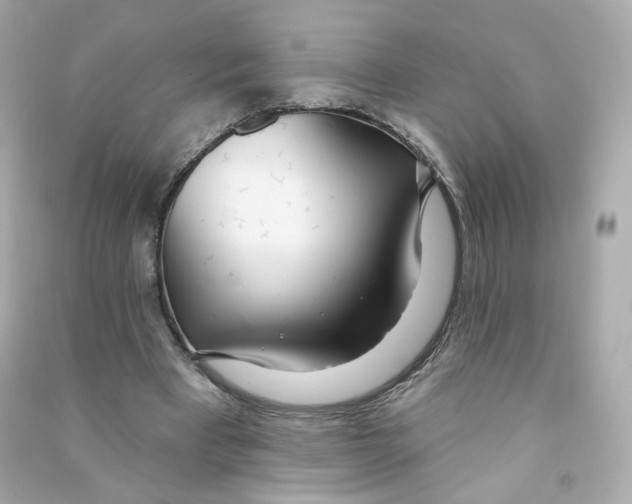X0000090460393200708102116