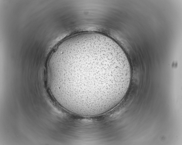 X0000090460394200708102116