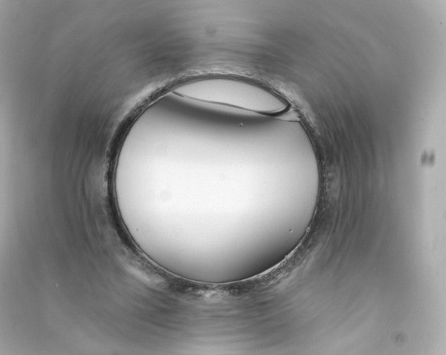 X0000090460395200708102116
