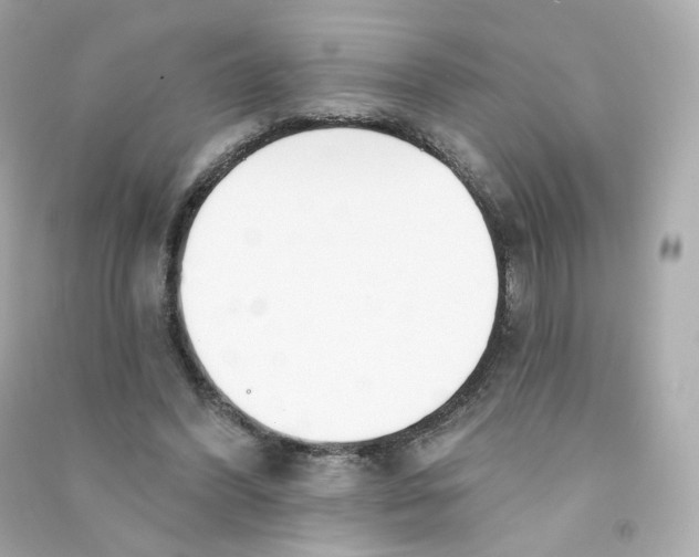 X0000090460396200708102116