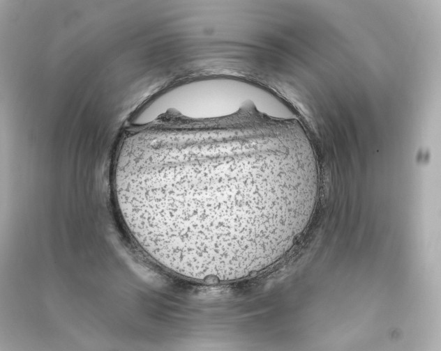X0000090460398200708102116