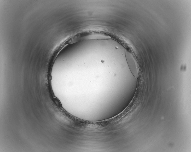 X0000090460399200708102116