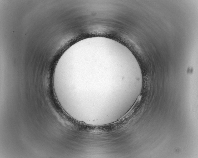 X0000090460400200708102116