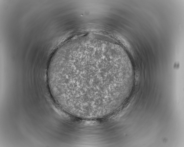 X0000090460401200708102116