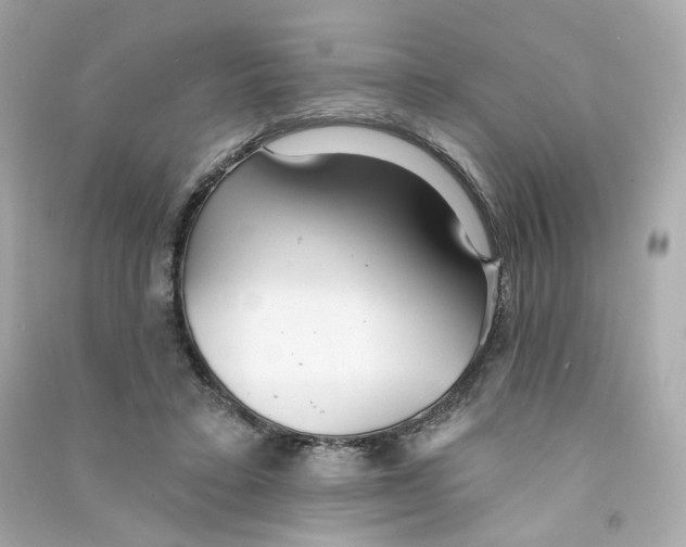 X0000090460403200708102115